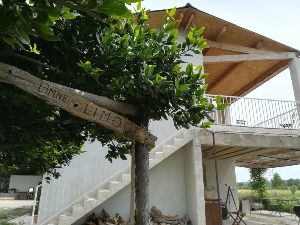ナルボンヌ Domaine Limouzyヴィラ エクステリア 写真