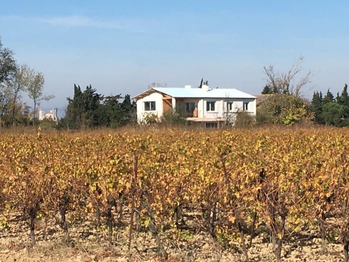 ナルボンヌ Domaine Limouzyヴィラ エクステリア 写真